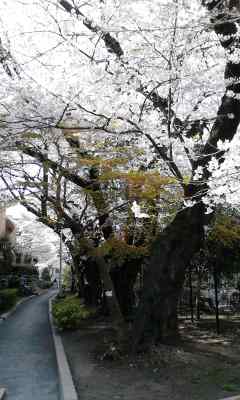 f0140174_155682.jpg