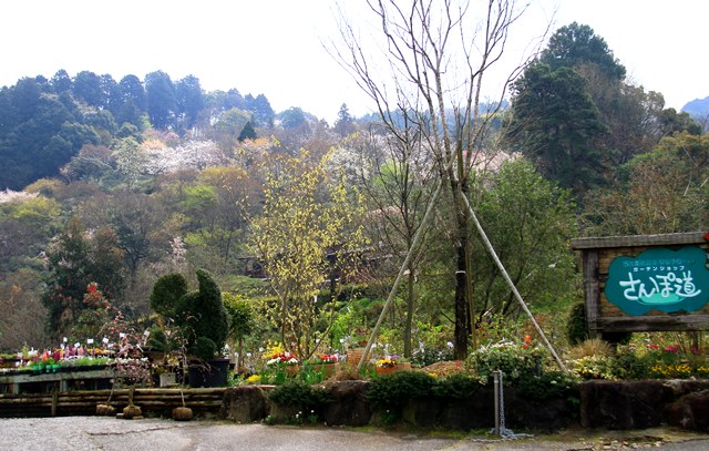d0126577_13552271.jpg