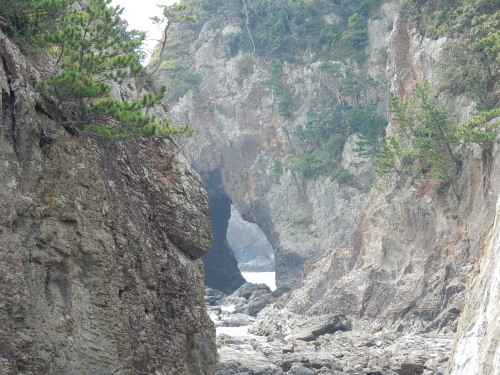 f0054677_08270710.jpg