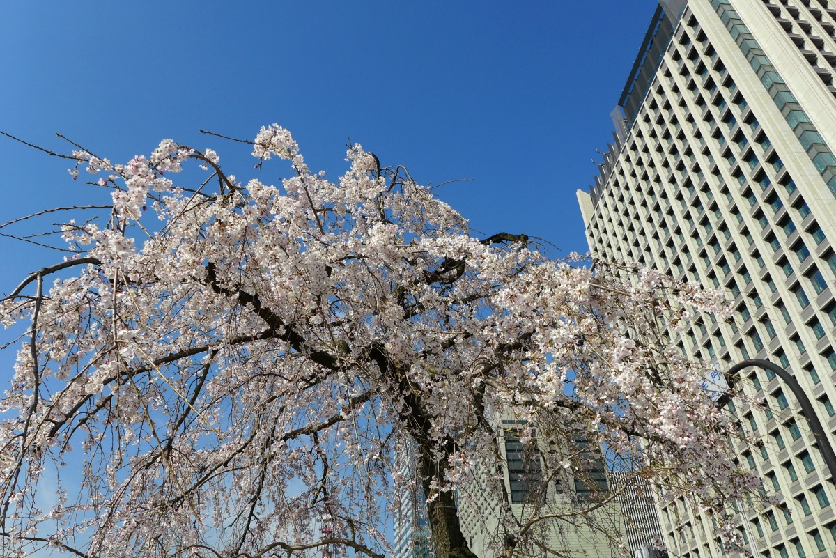 a0127090_215584.jpg