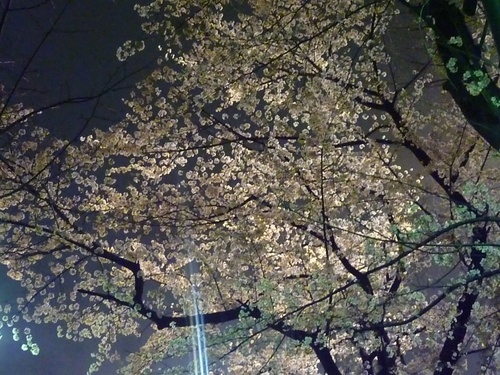 c0123890_20545829.jpg