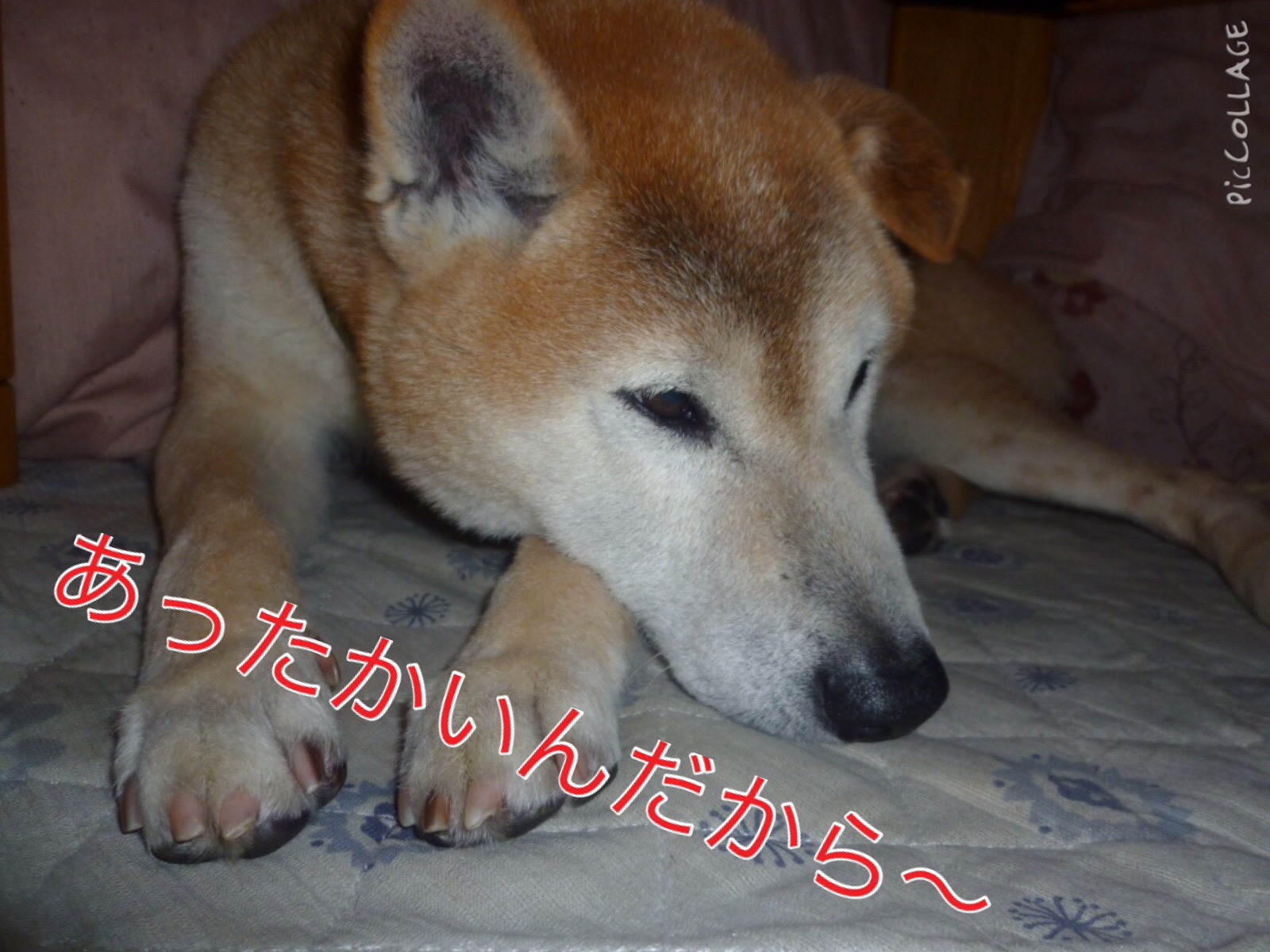 c0123890_2055315.jpg