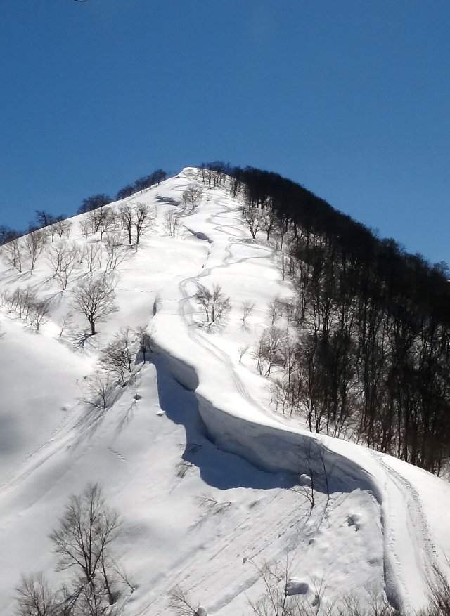 f0125091_13571690.jpg