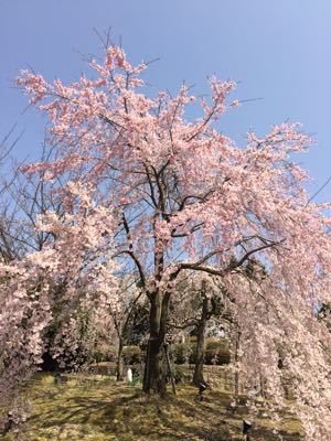 e0111793_002970.jpg