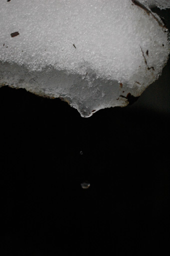 a0061599_803382.jpg