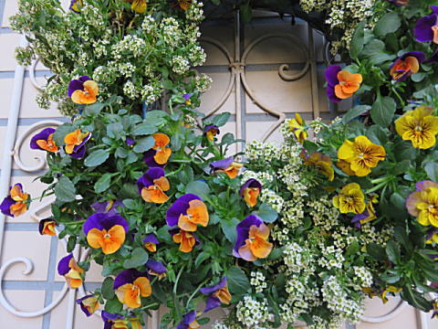d0046702_1735358.jpg