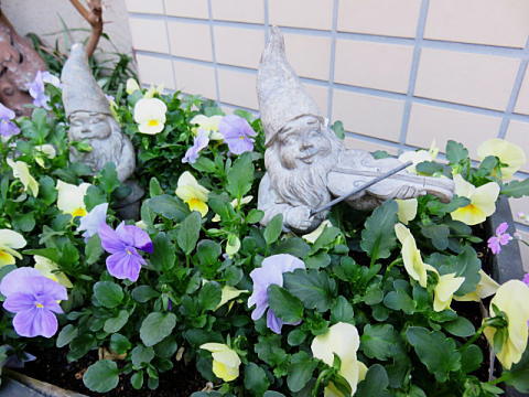 d0046702_1805992.jpg