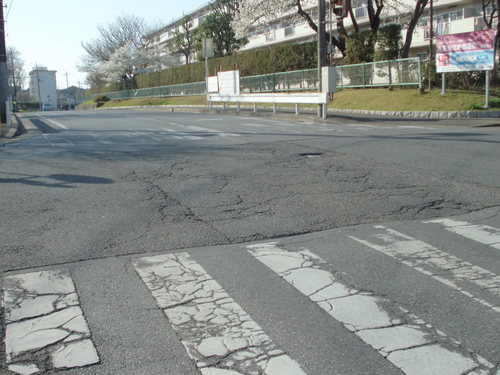 a0162505_195565.jpg