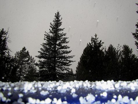 a0310405_06462300.jpg