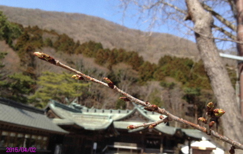 a0337807_19070159.jpg
