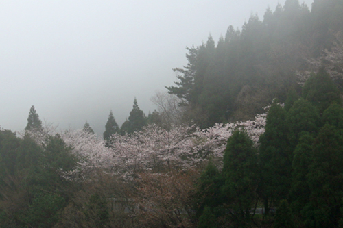 b0014607_211179.jpg