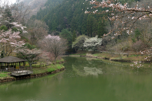 b0014607_2114343.jpg