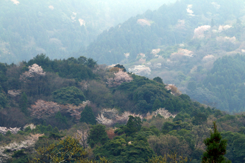 b0014607_2114755.jpg