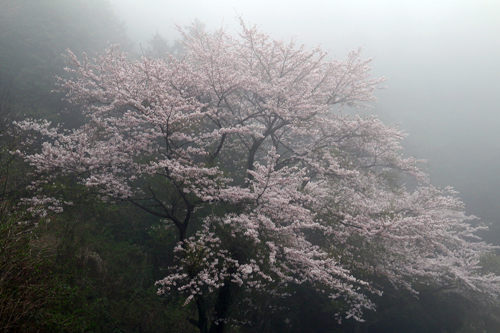 b0014607_21203733.jpg