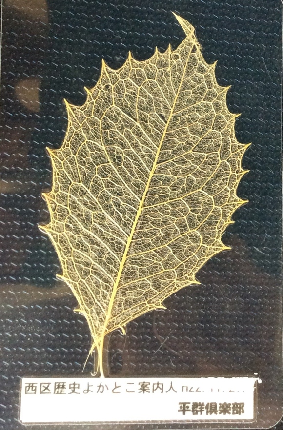 b0273309_15374486.jpg