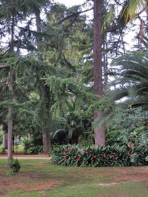 b0064411_03505104.jpg