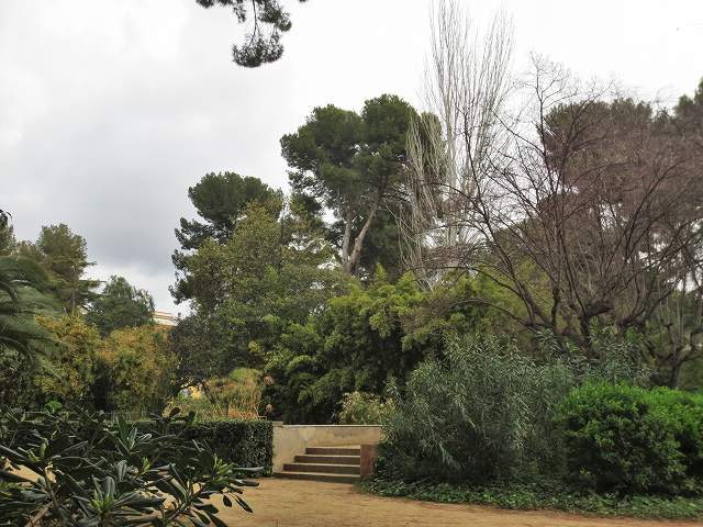b0064411_04031478.jpg