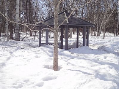 f0328313_11280969.jpg