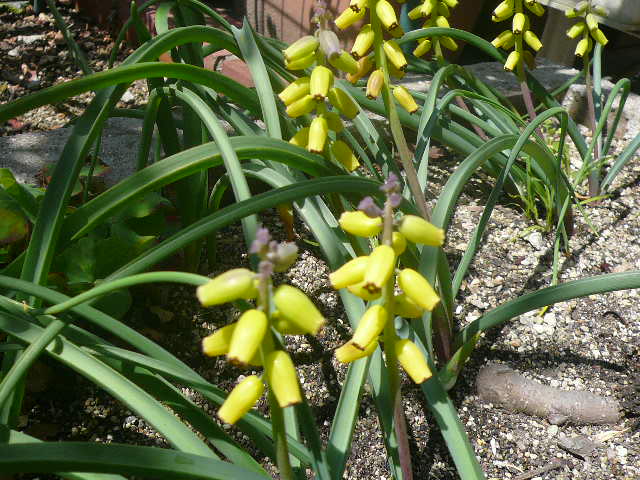 e0026017_15473967.jpg