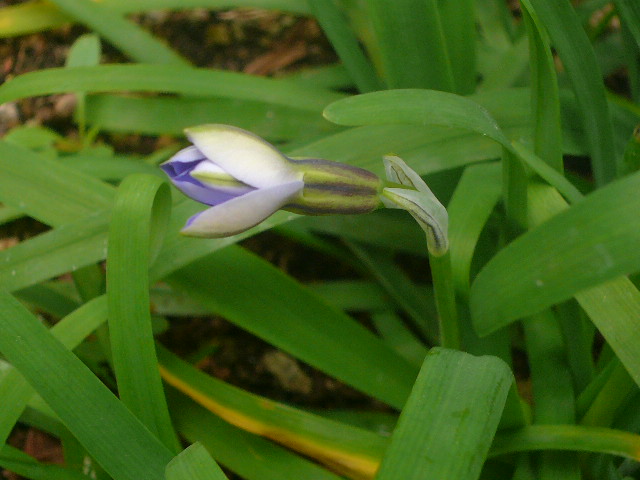 e0026017_15482699.jpg