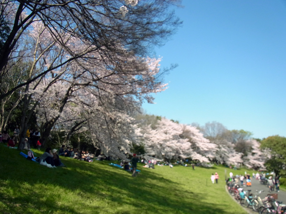 e0083517_22492998.jpg