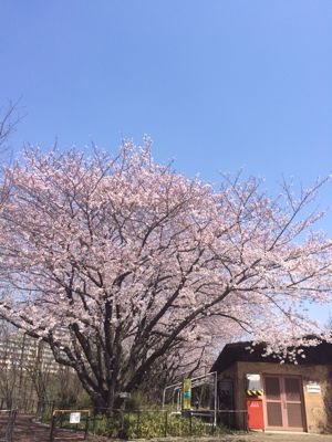 c0229920_20455692.jpg