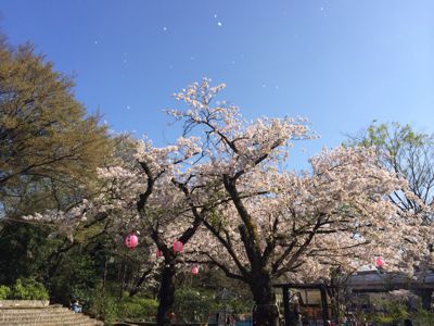 c0229920_20455752.jpg