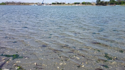 b0259124_18205929.jpg