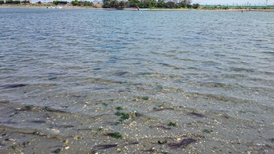 b0259124_1821982.jpg