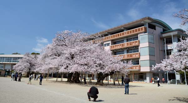 f0147025_18242011.jpg