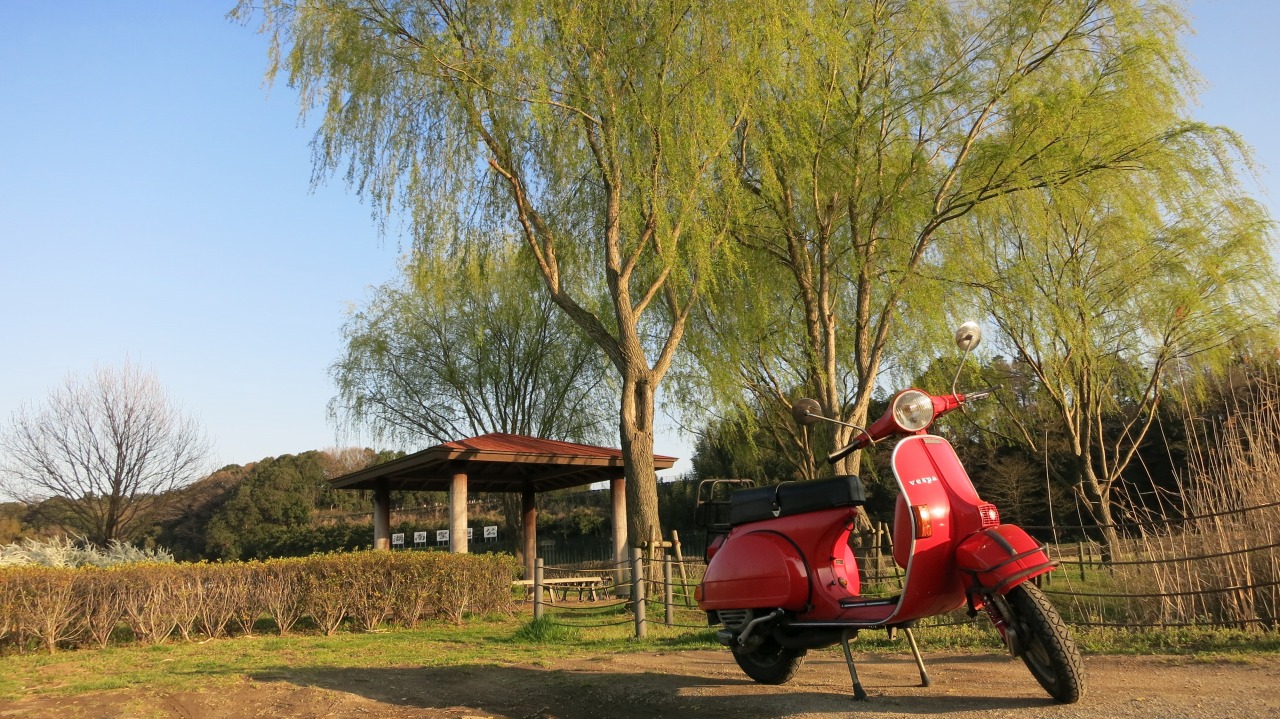 f0225627_20405740.jpg