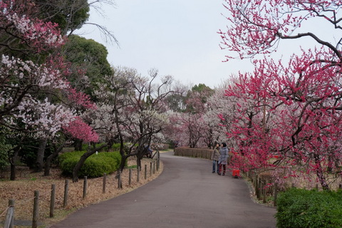 b0281732_13212725.jpg