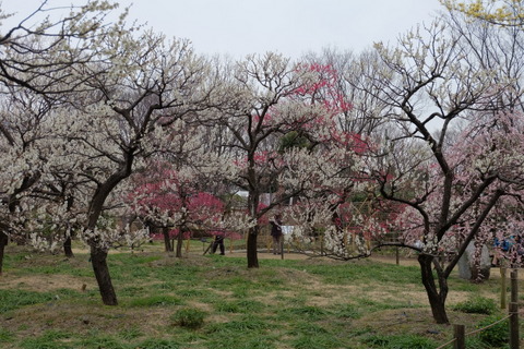 b0281732_13214220.jpg