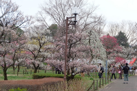 b0281732_13215041.jpg