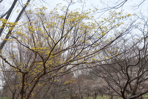 b0281732_13215819.jpg