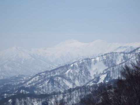 f0118332_22472528.jpg