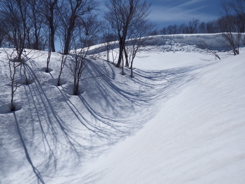 f0118332_22540047.jpg