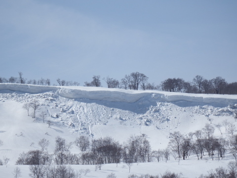 f0118332_22593520.jpg