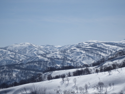 f0118332_23005292.jpg