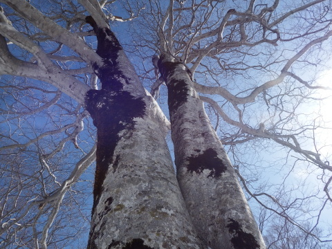 f0118332_23011913.jpg