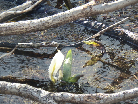 f0118332_23033323.jpg