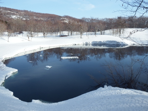 f0118332_23042045.jpg