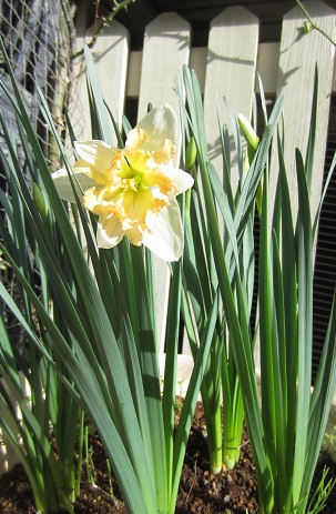 f0002833_16171863.jpg