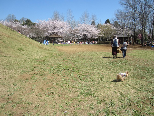 f0002833_1634974.jpg