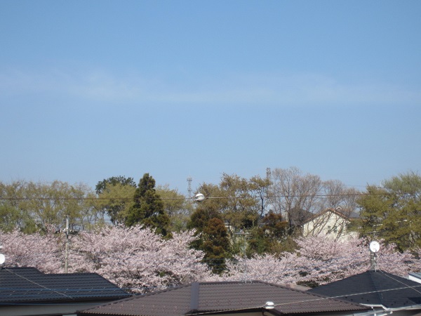 f0002833_16452233.jpg