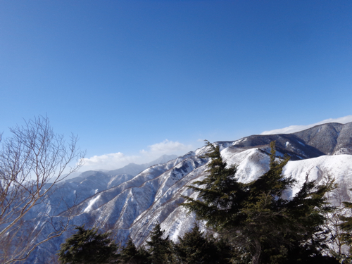 f0060535_1650143.jpg