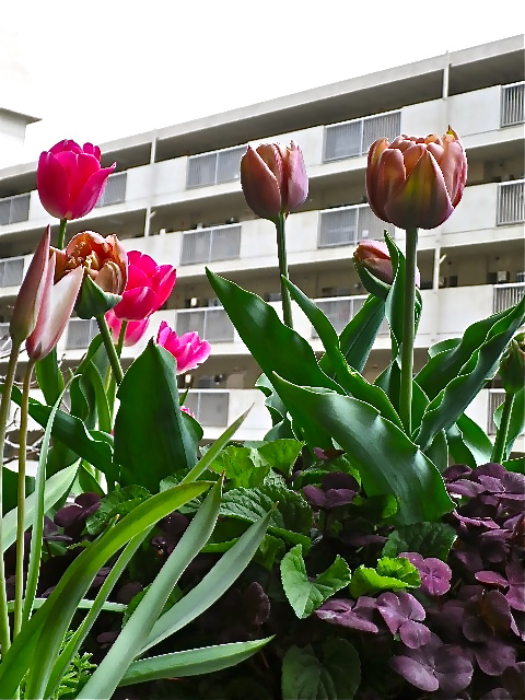 b0027736_13255550.jpg