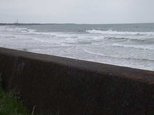 f0248337_1643666.jpg