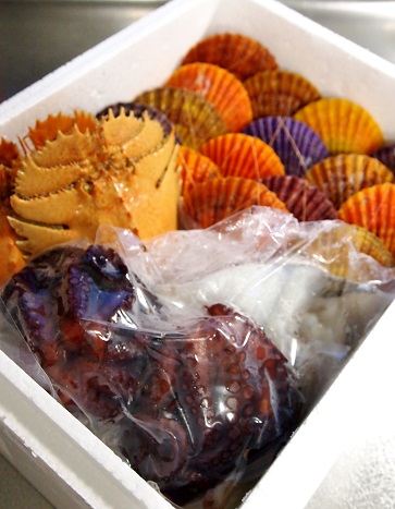 c0306839_748308.jpg