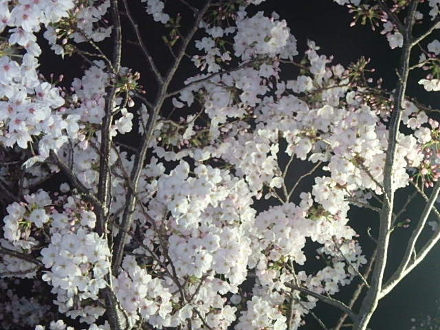 f0334143_19461346.jpg